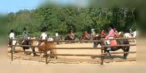 Cours poney Cours poney